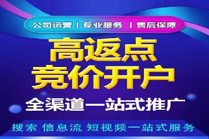 百度竞价排名案例分享：广告投放的技巧与误区